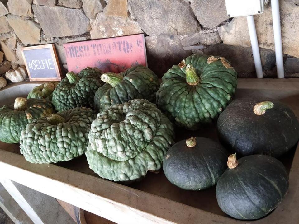 Agriturismo Fattoria Montecontessa Villa Cenova Dış mekan fotoğraf