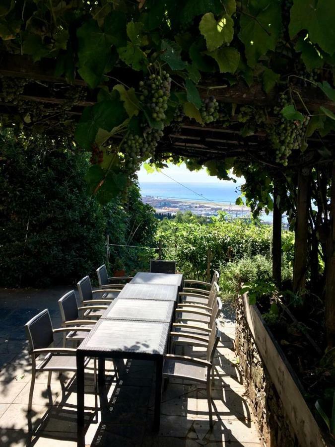 Agriturismo Fattoria Montecontessa Villa Cenova Dış mekan fotoğraf